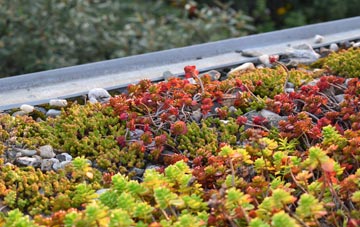 the cost of Hudnalls green roof installation