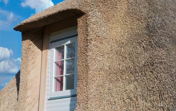 Hudnalls thatch roof disadvantages